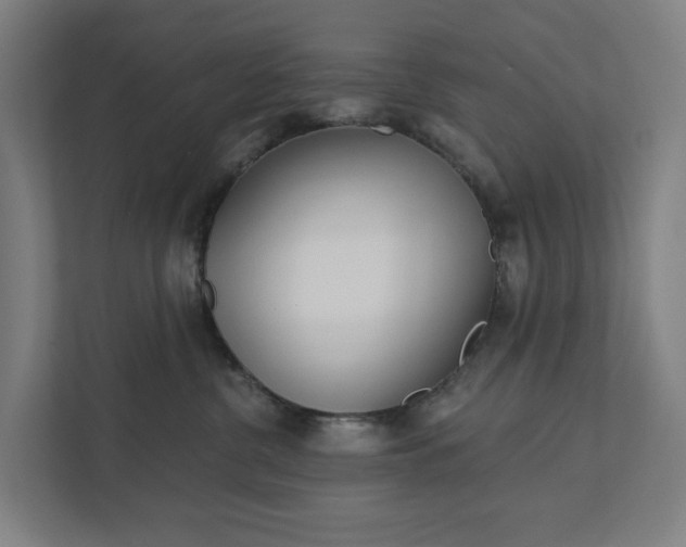 X0000111930380200908101147