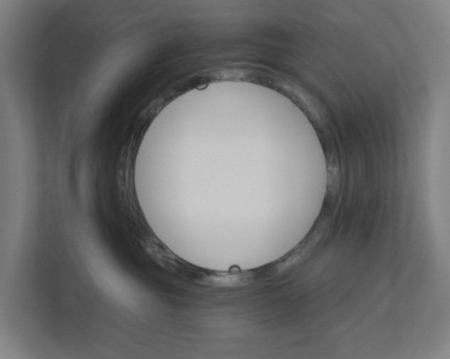 X0000111930381200908101147