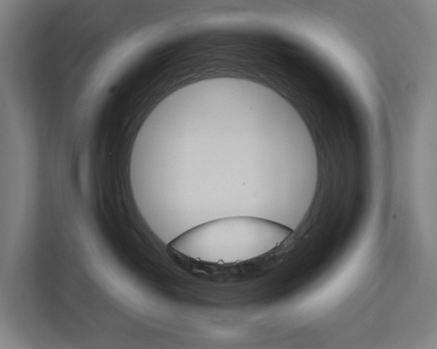 X0000111930382200908101147