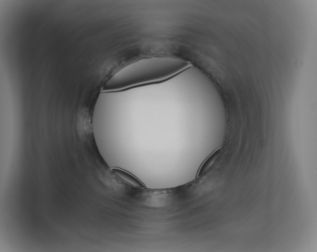 X0000111930384200908101147