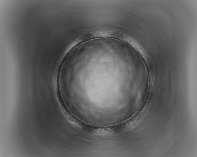 X0000111930386200908101146