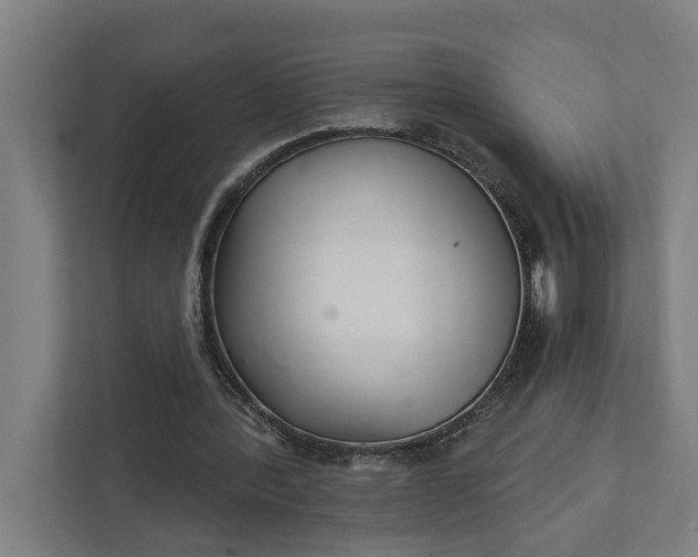 X0000111930388200908101146