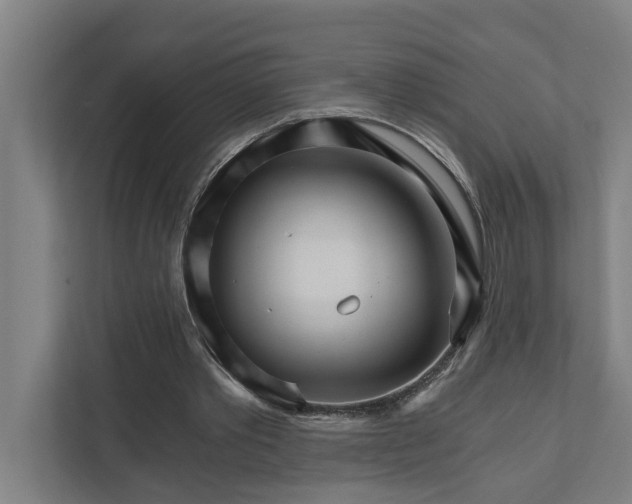 X0000111930389200908101146