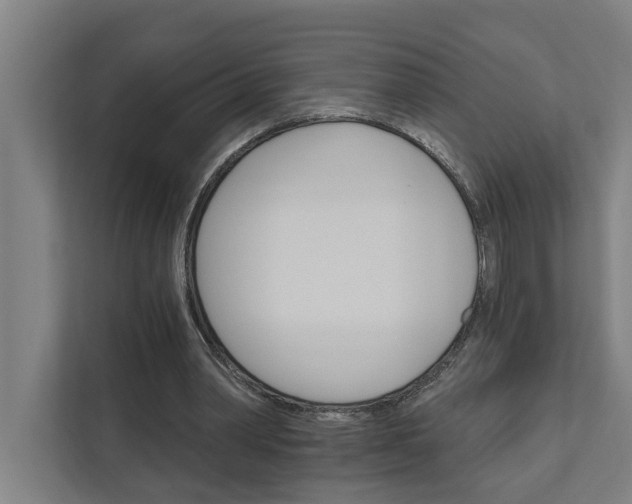 X0000111930390200908101146