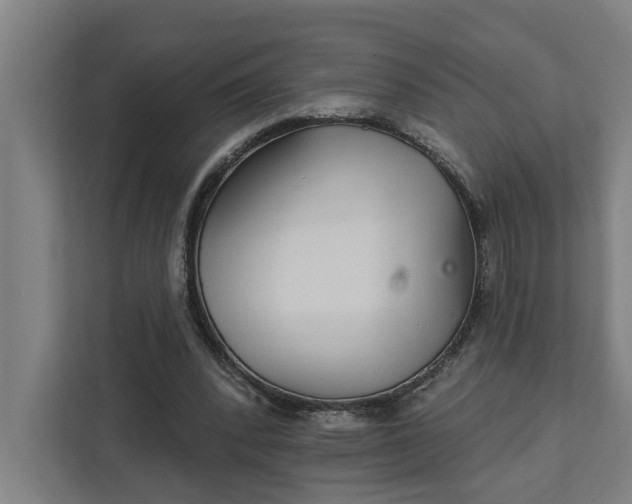 X0000111930392200908101146