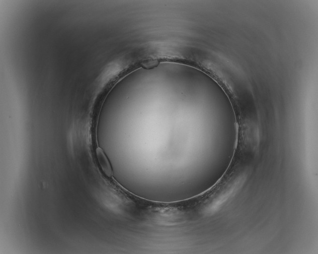 X0000111930395200908101146