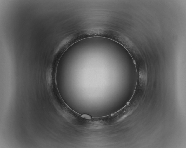 X0000111930396200908101146