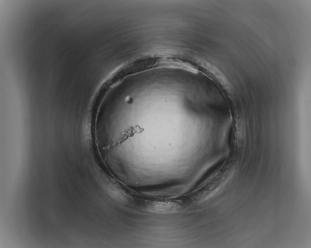 X0000111930399200908101146