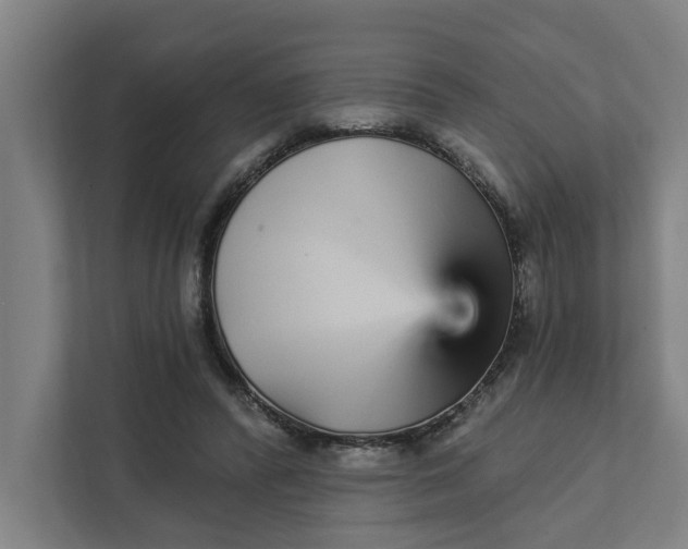 X0000111930400200908101146