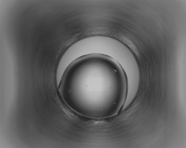 X0000111930401200908101146