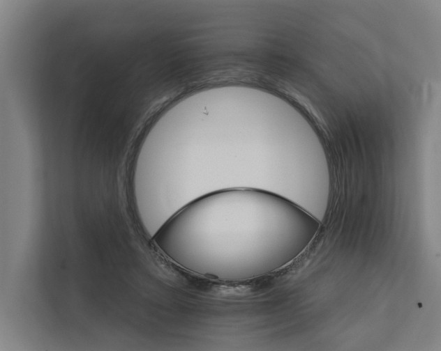 X0000111930403200908101146