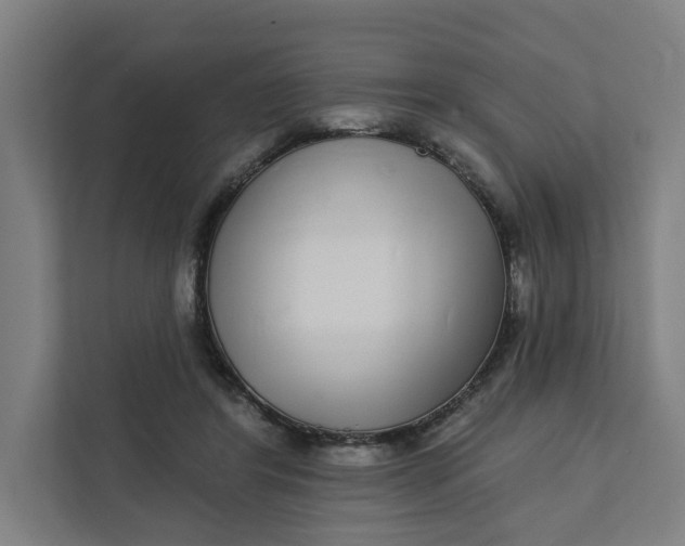 X0000111930404200908101146