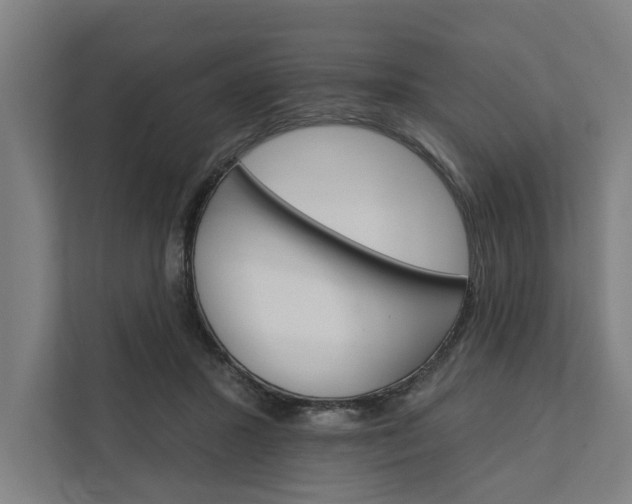 X0000111930407200908101146