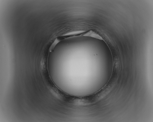 X0000111930408200908101146