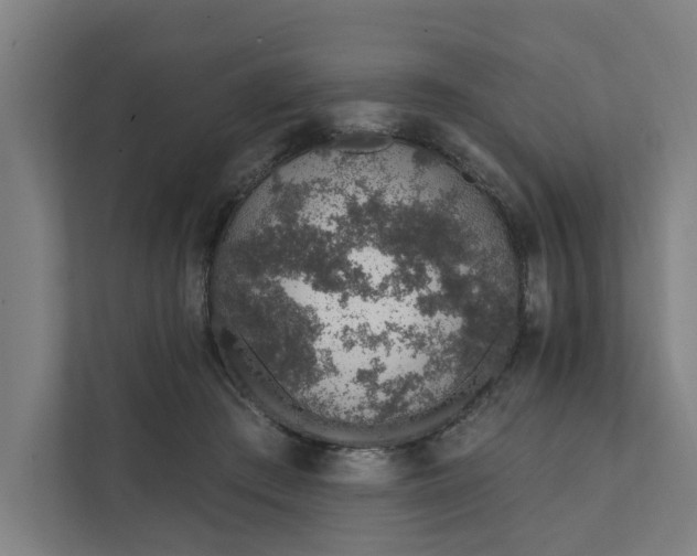 X0000111930409200908101146