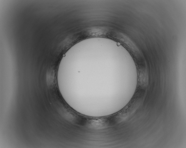 X0000111930411200908101146