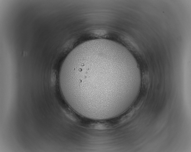 X0000111930412200908101146