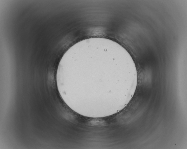 X0000111930415200908101146