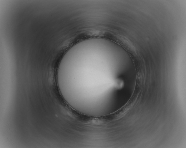 X0000111930416200908101146