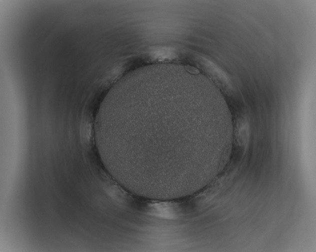 X0000111930417200908101146