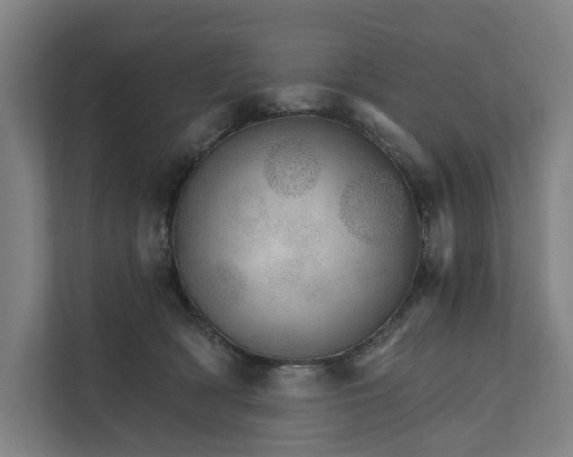 X0000111930418200908101146