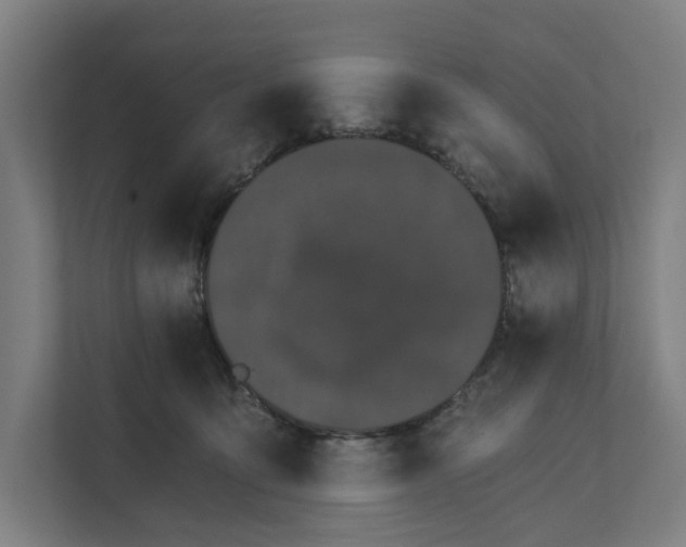 X0000111930419200908101146