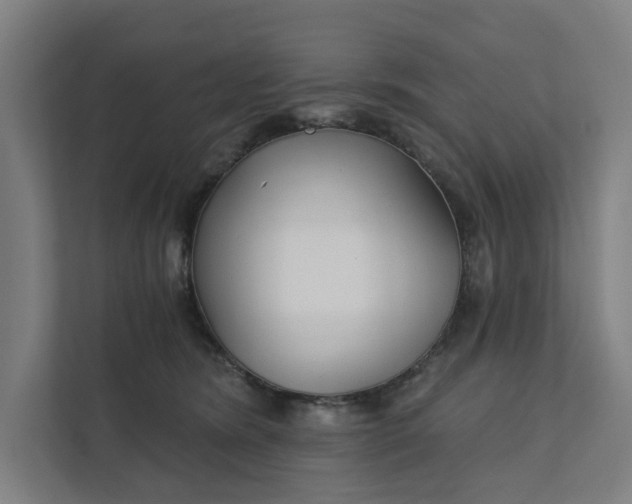 X0000111930420200908101145