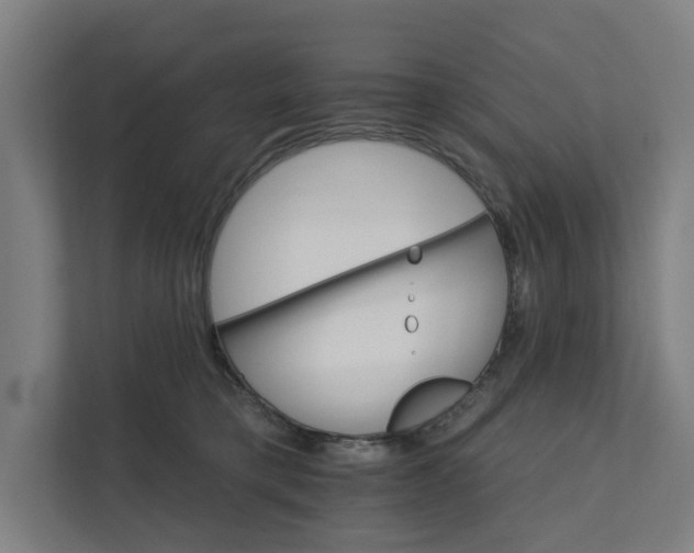 X0000111930421200908101145