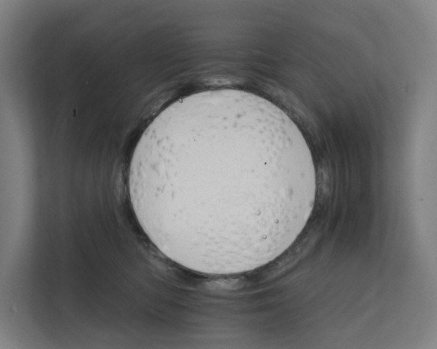 X0000111930422200908101145