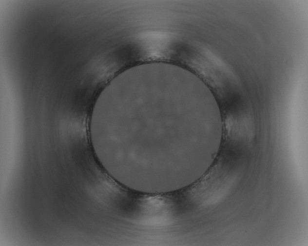 X0000111930423200908101145