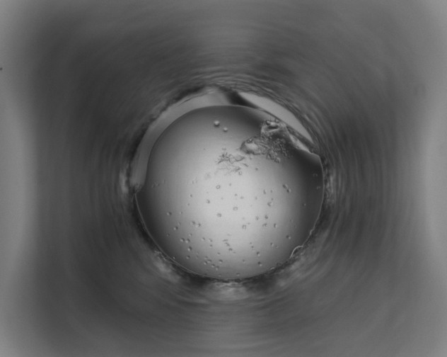 X0000111930424200908101145