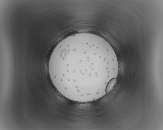 X0000111930426200908101145