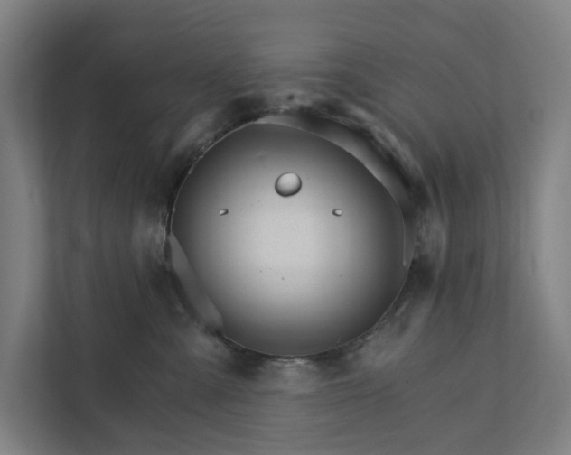 X0000111930427200908101145