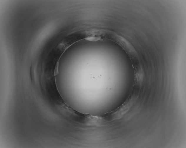 X0000111930429200908101145