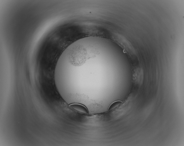 X0000111930430200908101145