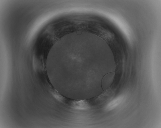 X0000111930431200908101145