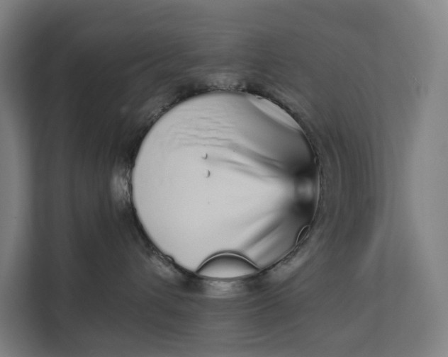 X0000111930432200908101145