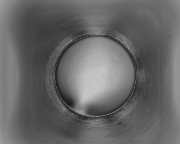 X0000111930433200908101145