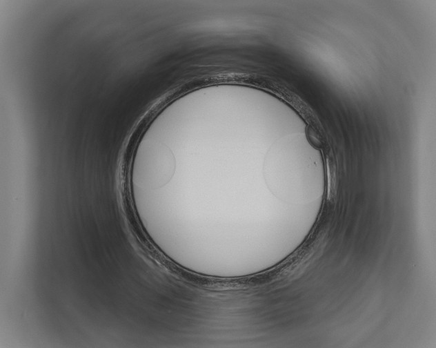 X0000111930435200908101145