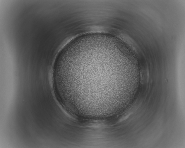 X0000111930436200908101145