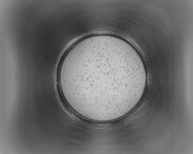 X0000111930438200908101145