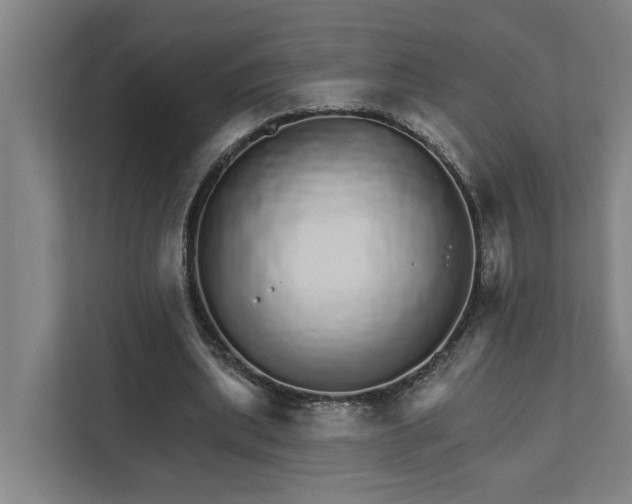 X0000111930439200908101145