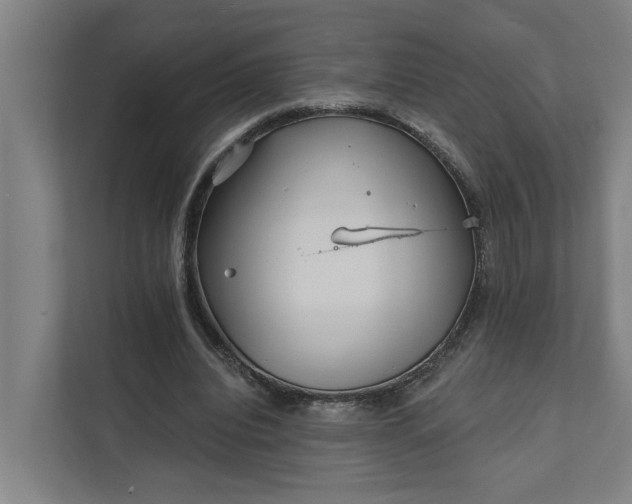 X0000111930440200908101145