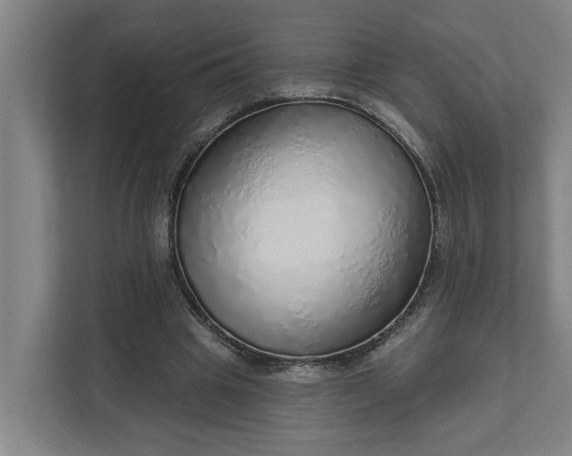 X0000111930441200908101145