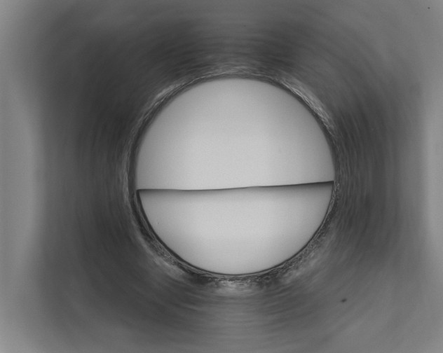 X0000111930442200908101145