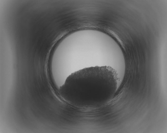 X0000111930443200908101145