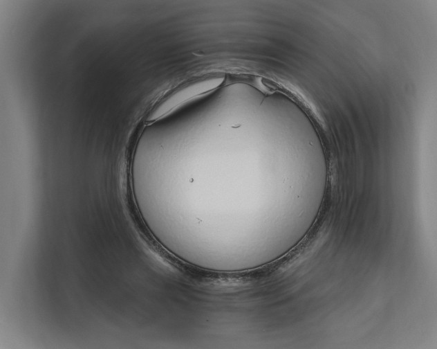 X0000111930445200908101145