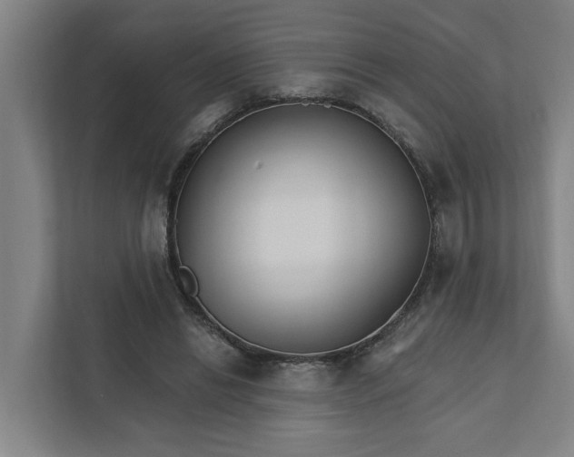 X0000111930446200908101145