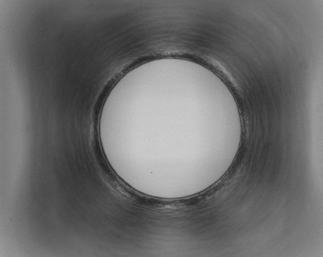 X0000111930447200908101145