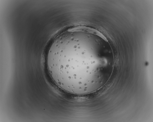 X0000111930448200908101145